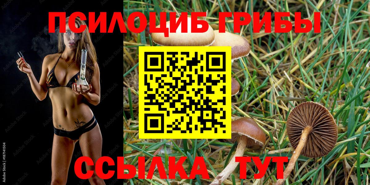 Бошки Шишки  Славгород  Вход с VPN  Кокаин  Мефедрон   Канабис 