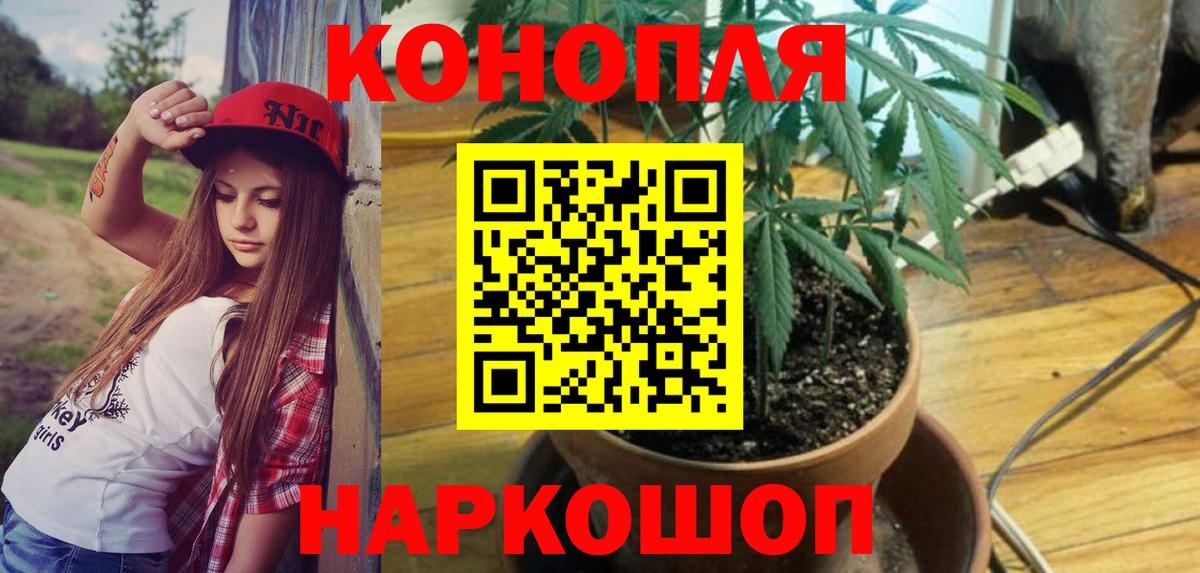 Славгород  Канабис VHQ  Канабис SATIVA & INDICA  Конопля сатива  Вход с VPN  Марихуана марихуана 